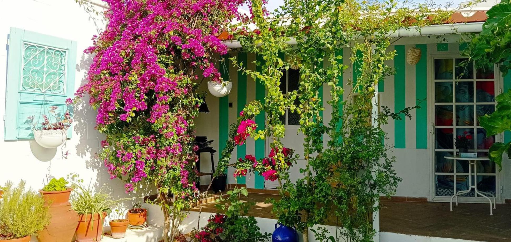 Casa Con Piscina Cerca De Sevilla Carrion de Los Cespedes Exterior photo